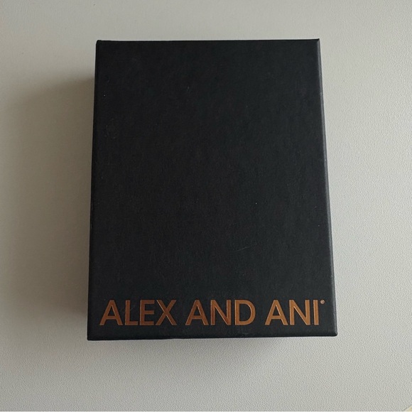 Capricorn Bracelet - Picture 5 of 5